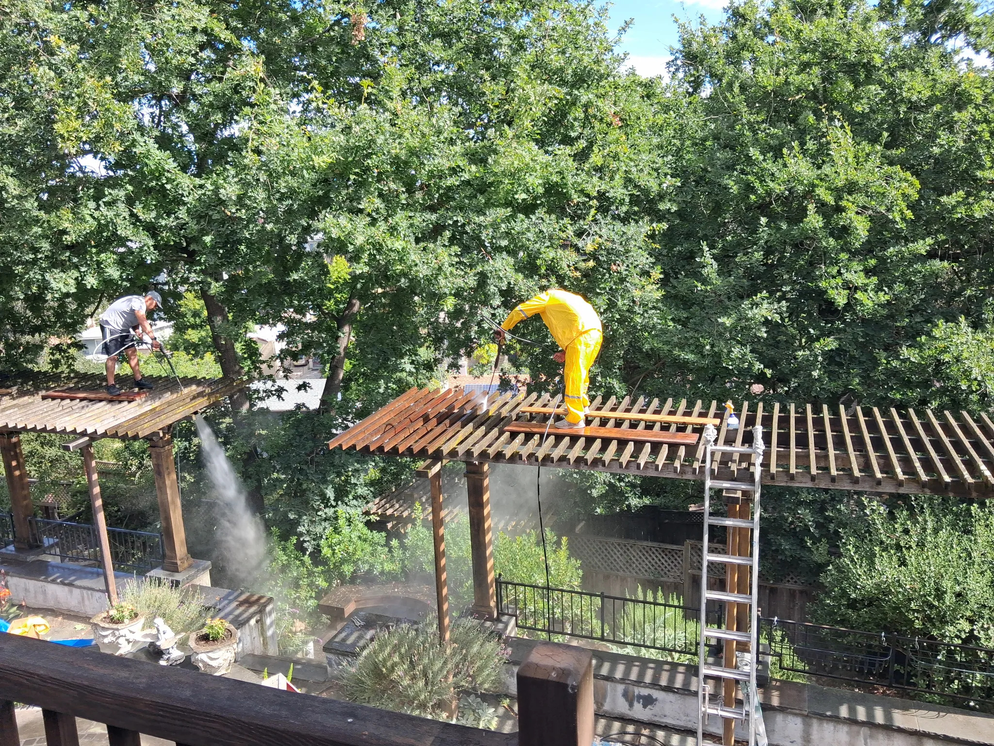 Trellis pressure wash and refinishing