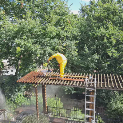 Trellis Pressure Wash & Refinishing